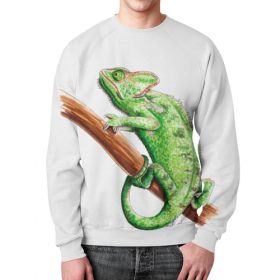 full_print_sweatshirt с принтом Зеленый хамелеон на ветке в Рязани,  |  | 