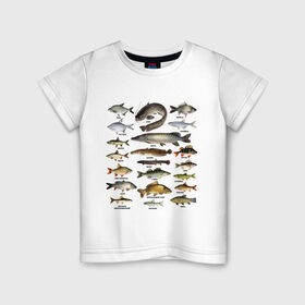 Детская футболка хлопок с принтом Популярные виды рыб в Рязани, 100% хлопок | круглый вырез горловины, полуприлегающий силуэт, длина до линии бедер | рыба | рыбалка | рыбачить | туризм | туристические | туристу | улов