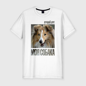 Мужская футболка премиум с принтом Шелти в Рязани, 92% хлопок, 8% лайкра | приталенный силуэт, круглый вырез ворота, длина до линии бедра, короткий рукав | drug | порода | собака | шелти