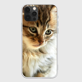 Чехол для iPhone 12 Pro Max с принтом Кот в Рязани, Силикон |  | домашняя | животное | кот | котэ | кошка