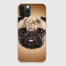 Чехол для iPhone 12 Pro Max с принтом Мопс в Рязани, Силикон |  | животное | мопс | порода | собака