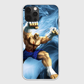 Чехол для iPhone 12 Pro с принтом Muay thai 3 в Рязани, силикон | область печати: задняя сторона чехла, без боковых панелей | muay thai