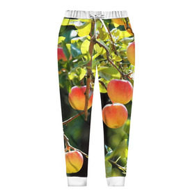 Женские брюки 3D с принтом Яблоки в Рязани, полиэстер 100% | прямой крой, два кармана без застежек по бокам, с мягкой трикотажной резинкой на поясе и по низу штанин. В поясе для дополнительного комфорта — широкие завязки | дерево | зелень | красные | сад