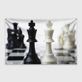 Флаг-баннер с принтом Шахматы в Рязани, 100% полиэстер | размер 67 х 109 см, плотность ткани — 95 г/м2; по краям флага есть четыре люверса для крепления | белая | черная | шахматы