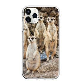 Чехол для iPhone 11 Pro матовый с принтом Сурикаты в Рязани, Силикон |  | животное | зверёк | калахари | мангуст | млекопитающее | сурикат | южная африка