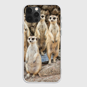 Чехол для iPhone 12 Pro Max с принтом Сурикаты в Рязани, Силикон |  | животное | зверёк | калахари | мангуст | млекопитающее | сурикат | южная африка