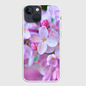 Чехол для iPhone 13 mini с принтом Сирень в Рязани,  |  | лепестки | прикольные картинки | цветочки | цветы