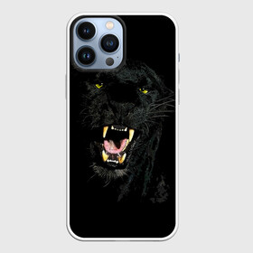 Чехол для iPhone 13 Pro Max с принтом Чёрная пантера в Рязани,  |  | Тематика изображения на принте: кошка | оскал | пантера | прикольные картинки