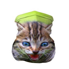 Бандана-труба 3D с принтом Кися в Рязани, 100% полиэстер, ткань с особыми свойствами — Activecool | плотность 150‒180 г/м2; хорошо тянется, но сохраняет форму | домашние | животные | кот | котёнок | кошка | милый