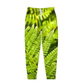 Мужские брюки 3D с принтом Папоротник в Рязани, 100% полиэстер | манжеты по низу, эластичный пояс регулируется шнурком, по бокам два кармана без застежек, внутренняя часть кармана из мелкой сетки | ботаника | зелень | листья | папоротник | природа | растения | цветок
