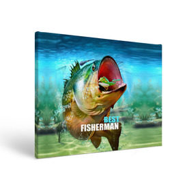 Холст прямоугольный с принтом Лучший рыбак в Рязани, 100% ПВХ |  | Тематика изображения на принте: крючок | лягушка | наживка | рыба