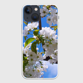 Чехол для iPhone 13 mini с принтом Вишнёвый цвет в Рязани,  |  | весна | вишня | лепестки | прикольные картинки | цветение | цветы