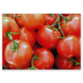 Поздравительная открытка с принтом Томаты в Рязани, 100% бумага | плотность бумаги 280 г/м2, матовая, на обратной стороне линовка и место для марки
 | дача | еда | зелень | красный | овощи | огород | помидоры | томаты