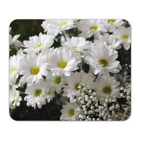 Коврик прямоугольный с принтом Белоснежное цветение в Рязани, натуральный каучук | размер 230 х 185 мм; запечатка лицевой стороны | ландыши | лепестки | прикольные картинки | ромашки | цветочки | цветы