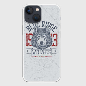 Чехол для iPhone 13 mini с принтом Team t shirt в Рязани,  |  | american football | baseball | fashion | football | sport | sport league | style | team | west | американский футбол | бейсбол | запад | команды | мода | надписи | спорт | спортивные лиги | стиль | футбол | футбольные лиги