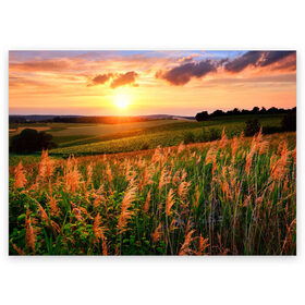 Поздравительная открытка с принтом Родные просторы в Рязани, 100% бумага | плотность бумаги 280 г/м2, матовая, на обратной стороне линовка и место для марки
 | sunrise | sunset | восход | деревня | закат | луг | небо | облака | поле | природа | солнце | цветы