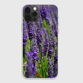 Чехол для iPhone 12 Pro с принтом Лаванда в Рязани, силикон | область печати: задняя сторона чехла, без боковых панелей | зеленый | зелень | лаванда | лето | поле | природа | синий | цветы