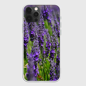 Чехол для iPhone 12 Pro Max с принтом Лаванда в Рязани, Силикон |  | зеленый | зелень | лаванда | лето | поле | природа | синий | цветы