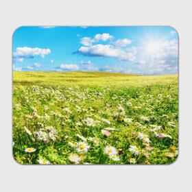 Коврик прямоугольный с принтом Ромашковый ковёр в Рязани, натуральный каучук | размер 230 х 185 мм; запечатка лицевой стороны | Тематика изображения на принте: горизонт | зелень | небо | облака | поле | поляна | ромашки | солнце | цветы