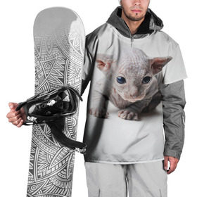 Накидка на куртку 3D с принтом Сфинкс 1 в Рязани, 100% полиэстер |  | Тематика изображения на принте: кот | котенок | котик | котэ | кошка | сфинкс
