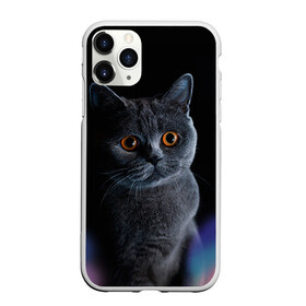 Чехол для iPhone 11 Pro Max матовый с принтом Британец 1 в Рязани, Силикон |  | Тематика изображения на принте: британец | британская | британцы | кот | котенок | котик | котэ | кошка
