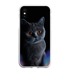 Чехол для iPhone XS Max матовый с принтом Британец 1 в Рязани, Силикон | Область печати: задняя сторона чехла, без боковых панелей | Тематика изображения на принте: британец | британская | британцы | кот | котенок | котик | котэ | кошка