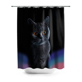 Штора 3D для ванной с принтом Британец 1 в Рязани, 100% полиэстер | плотность материала — 100 г/м2. Стандартный размер — 146 см х 180 см. По верхнему краю — пластиковые люверсы для креплений. В комплекте 10 пластиковых колец | британец | британская | британцы | кот | котенок | котик | котэ | кошка