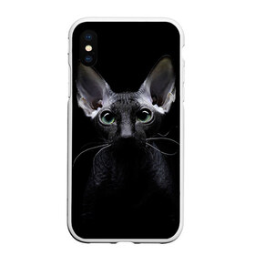 Чехол для iPhone XS Max матовый с принтом Сфинкс 2 в Рязани, Силикон | Область печати: задняя сторона чехла, без боковых панелей | кот | котенок | котик | котэ | кошка | сфинкс