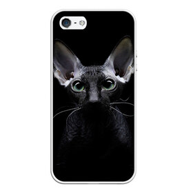 Чехол для iPhone 5/5S матовый с принтом Сфинкс 2 в Рязани, Силикон | Область печати: задняя сторона чехла, без боковых панелей | Тематика изображения на принте: кот | котенок | котик | котэ | кошка | сфинкс