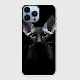 Чехол для iPhone 13 Pro Max с принтом Сфинкс 2 в Рязани,  |  | кот | котенок | котик | котэ | кошка | сфинкс