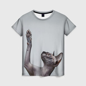 Женская футболка 3D с принтом Сфинкс 3 в Рязани, 100% полиэфир ( синтетическое хлопкоподобное полотно) | прямой крой, круглый вырез горловины, длина до линии бедер | кот | котенок | котик | котэ | кошка | сфинкс
