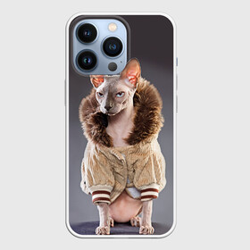 Чехол для iPhone 13 Pro с принтом Сфинкс 4 в Рязани,  |  | кот | котенок | котик | котэ | кошка | сфинкс