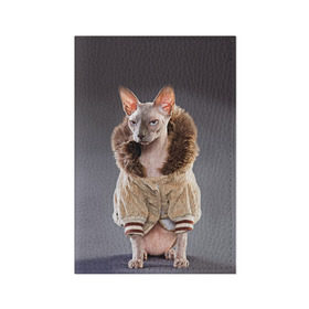 Обложка для паспорта матовая кожа с принтом Сфинкс 4 в Рязани, натуральная матовая кожа | размер 19,3 х 13,7 см; прозрачные пластиковые крепления | кот | котенок | котик | котэ | кошка | сфинкс