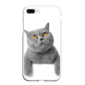 Чехол для iPhone 7Plus/8 Plus матовый с принтом Британец 2 в Рязани, Силикон | Область печати: задняя сторона чехла, без боковых панелей | британец | британская | британцы | кот | котенок | котик | котэ | кошка