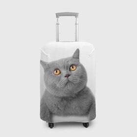Чехол для чемодана 3D с принтом Британец 2 в Рязани, 86% полиэфир, 14% спандекс | двустороннее нанесение принта, прорези для ручек и колес | британец | британская | британцы | кот | котенок | котик | котэ | кошка