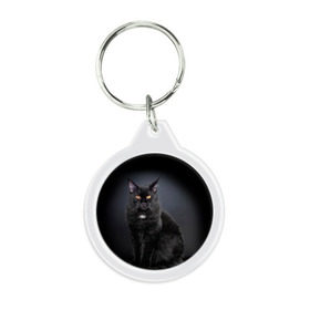 Брелок круглый с принтом Мейн-кун 3 в Рязани, пластик и полированная сталь | круглая форма, металлическое крепление в виде кольца | Тематика изображения на принте: кот | котенок | котик | котэ | кошка | мейн кун | мейнкун | мэйн кун | мэйнкун