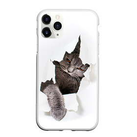 Чехол для iPhone 11 Pro Max матовый с принтом Британец 4 в Рязани, Силикон |  | Тематика изображения на принте: британец | британская | британцы | кот | котенок | котик | котэ | кошка