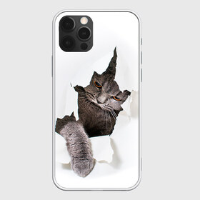 Чехол для iPhone 12 Pro Max с принтом Британец 4 в Рязани, Силикон |  | Тематика изображения на принте: британец | британская | британцы | кот | котенок | котик | котэ | кошка