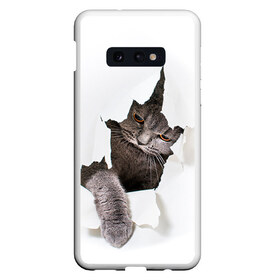 Чехол для Samsung S10E с принтом Британец 4 в Рязани, Силикон | Область печати: задняя сторона чехла, без боковых панелей | Тематика изображения на принте: британец | британская | британцы | кот | котенок | котик | котэ | кошка