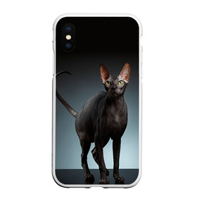 Чехол для iPhone XS Max матовый с принтом Сфинкс 7 в Рязани, Силикон | Область печати: задняя сторона чехла, без боковых панелей | кот | котенок | котик | котэ | кошка | сфинкс