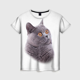 Женская футболка 3D с принтом Британец 5 в Рязани, 100% полиэфир ( синтетическое хлопкоподобное полотно) | прямой крой, круглый вырез горловины, длина до линии бедер | Тематика изображения на принте: британец | британская | британцы | кот | котенок | котик | котэ | кошка