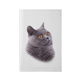 Обложка для паспорта матовая кожа с принтом Британец 5 в Рязани, натуральная матовая кожа | размер 19,3 х 13,7 см; прозрачные пластиковые крепления | Тематика изображения на принте: британец | британская | британцы | кот | котенок | котик | котэ | кошка