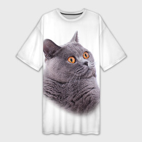 Платье-футболка 3D с принтом Британец кот удивленно смотрит в Рязани,  |  | Тематика изображения на принте: британец | британская | британцы | кот | котенок | котик | котэ | кошка
