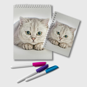 Блокнот с принтом Британец 6 в Рязани, 100% бумага | 48 листов, плотность листов — 60 г/м2, плотность картонной обложки — 250 г/м2. Листы скреплены удобной пружинной спиралью. Цвет линий — светло-серый
 | Тематика изображения на принте: британец | британская | британцы | кот | котенок | котик | котэ | кошка
