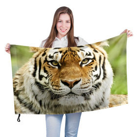 Флаг 3D с принтом Амурский тигр в Рязани, 100% полиэстер | плотность ткани — 95 г/м2, размер — 67 х 109 см. Принт наносится с одной стороны | амурский | дикая кошка | добыча | животное | зверь | клыки | когти | мясо | тигр | уссурийский | хищник