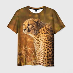 Мужская футболка 3D с принтом Дикая кошка в Рязани, 100% полиэфир | прямой крой, круглый вырез горловины, длина до линии бедер | взгляд | гепард | дикая кошка | кошка | охота | сафари | хищник