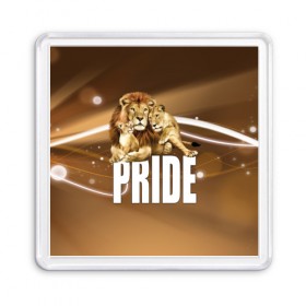 Магнит 55*55 с принтом Pride в Рязани, Пластик | Размер: 65*65 мм; Размер печати: 55*55 мм | lion | голова животного | кот | кошка | лев | хищник | царь | цвет