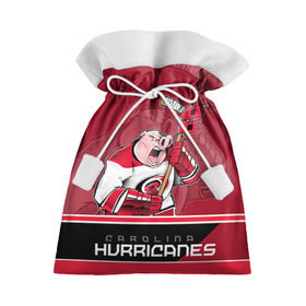 Подарочный 3D мешок с принтом Carolina Hurricanes в Рязани, 100% полиэстер | Размер: 29*39 см | Тематика изображения на принте: carolina hurricanes | nhl | stanley cup | каролина | каролина харрикейнз | кубок стенли | кубок стэнли | нхл | хоккей | хоккейный клуб | хурикэйнс