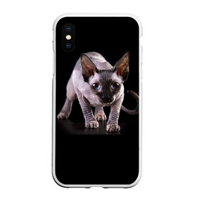 Чехол для iPhone XS Max матовый с принтом Сфинкс в Рязани, Силикон | Область печати: задняя сторона чехла, без боковых панелей | взгляд | глаза | голова животного | киска | кот | котёнок | кошка | прикольные картинки