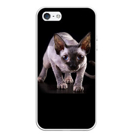 Чехол для iPhone 5/5S матовый с принтом Сфинкс в Рязани, Силикон | Область печати: задняя сторона чехла, без боковых панелей | Тематика изображения на принте: взгляд | глаза | голова животного | киска | кот | котёнок | кошка | прикольные картинки